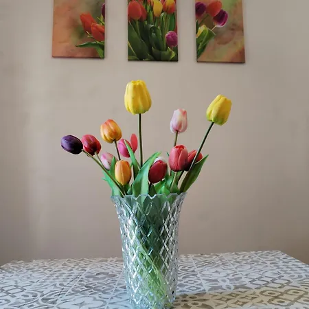 Сasa de vacaciones La Palazzina Dei Fiori Bari