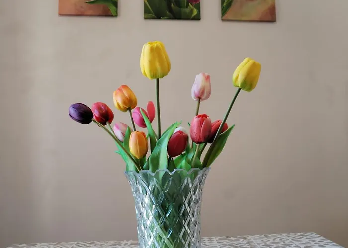 Tatil Evi La Palazzina Dei Fiori Bari